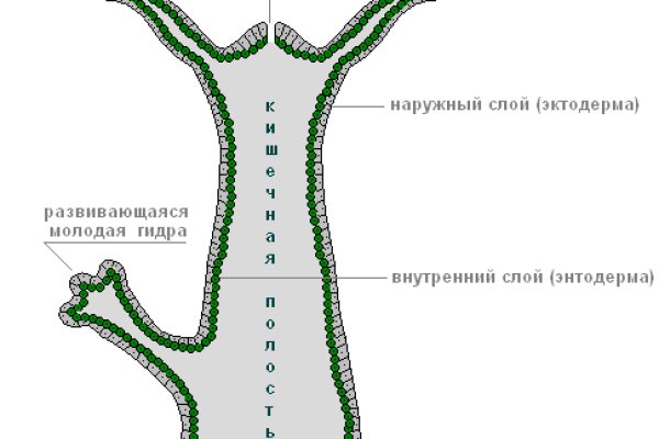 Кракен сайт войти